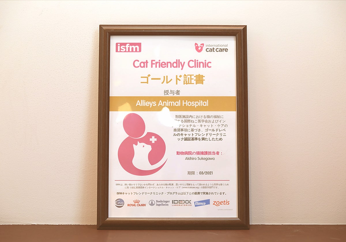 キャット・フレンドリー・クリニック GOLD認定