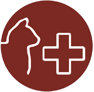 アリーズ猫医療センター