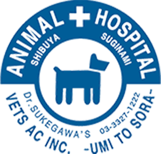 動物病院うみとそら