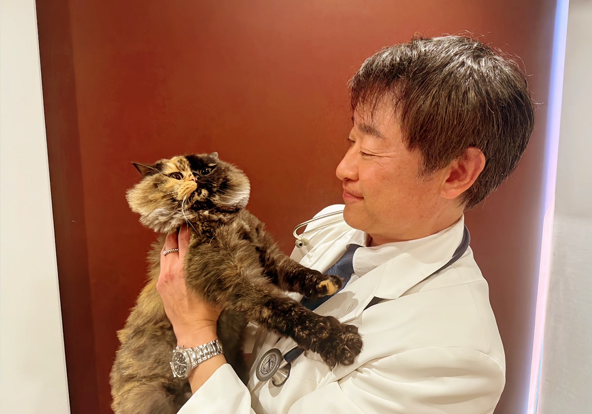 猫の世話をしている助川院長